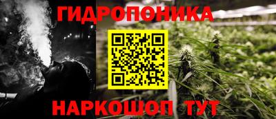 спайс Кинель