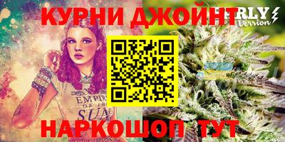 наркотики Кингисепп
